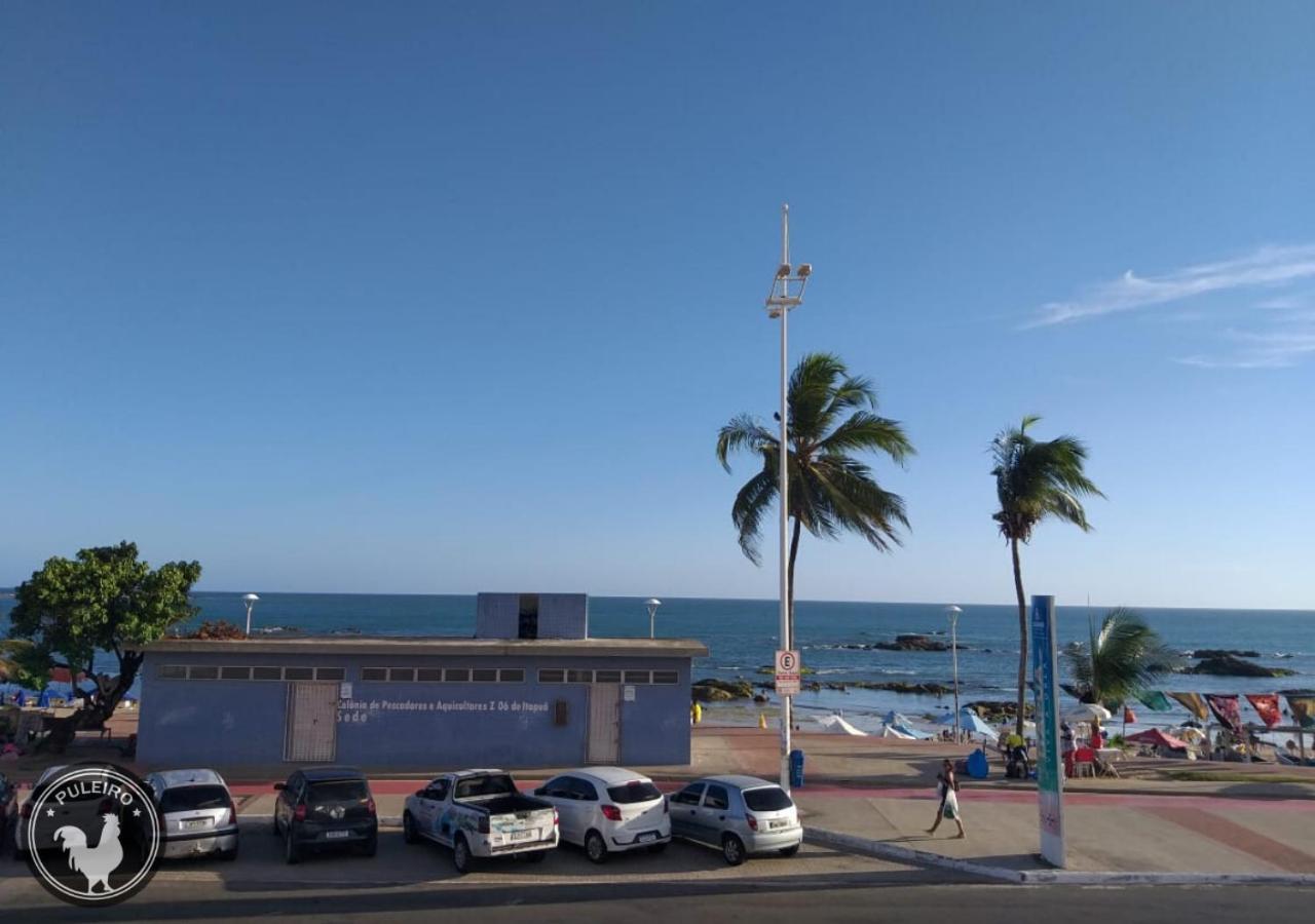 Puleiro Salvador de Bahía